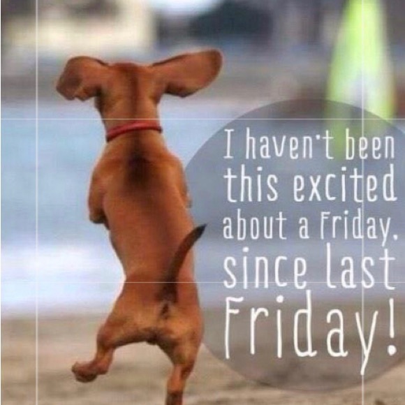 💎MEET THE POSHER💎 Bestdressed995 - Picture 2 of 16